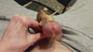 giant snail on cock results in a nice cumshot